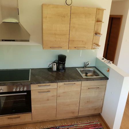 Appartement De Martin Aurach bei Kitzbühel Eksteriør billede